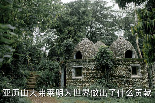 亞歷山大弗萊明，亞歷山大弗萊明為世界做出了什么貢獻