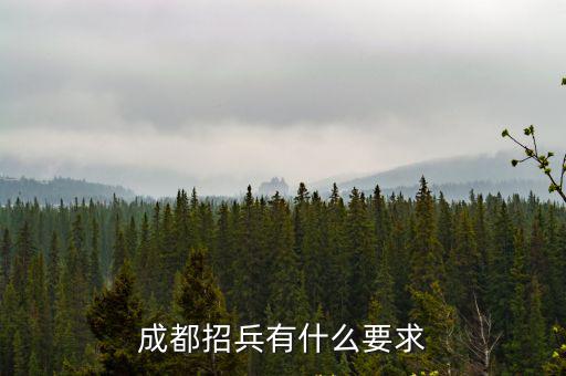成都市引才政策，成都招兵有什么要求