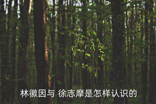  林徽因與 徐志摩是怎樣認識的