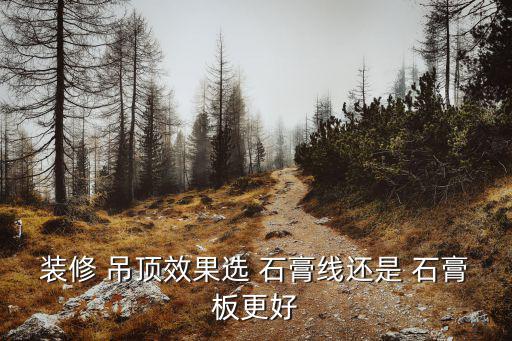 石膏線吊頂效果圖,石膏line吊頂裝飾效果圖看個人喜好!