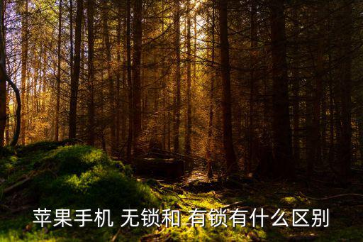 蘋果手機(jī) 無鎖和 有鎖有什么區(qū)別