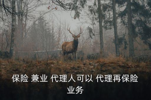 保險 兼業 代理人可以 代理再保險業務