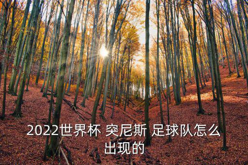 突尼斯足球,世界杯外圍賽:突尼斯爆冷淘汰阿聯酋曼市奪冠