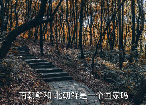  南朝鮮和 北朝鮮是一個(gè)國(guó)家嗎