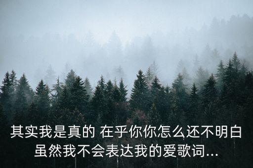 其實(shí)我是真的 在乎你你怎么還不明白雖然我不會(huì)表達(dá)我的愛(ài)歌詞...