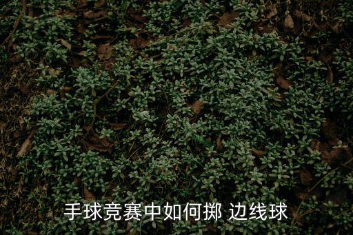 手球競賽中如何擲 邊線球