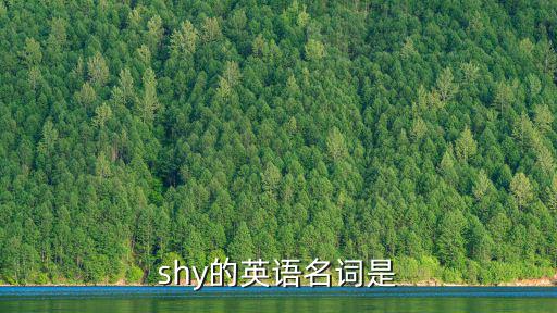 shy的英語(yǔ)名詞是