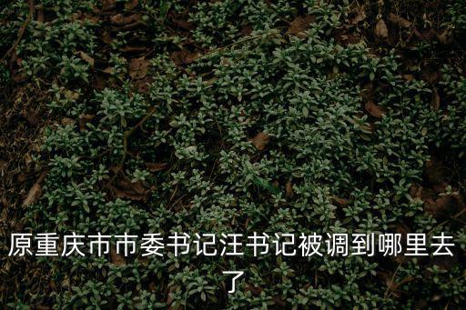 原重慶市市委書記汪書記被調到哪里去了