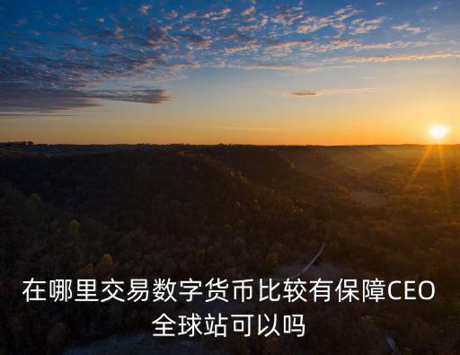 在哪里交易數(shù)字貨幣比較有保障CEO全球站可以嗎