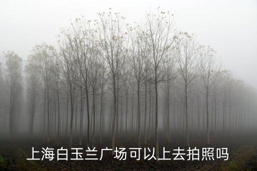 上海市白玉蘭廣場，上海長寧中心醫(yī)院做墮胎多少錢