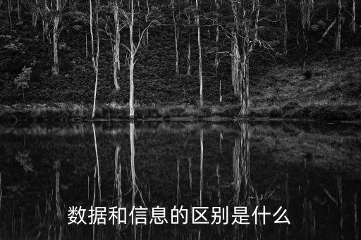 數(shù)據(jù)和信息的區(qū)別是什么