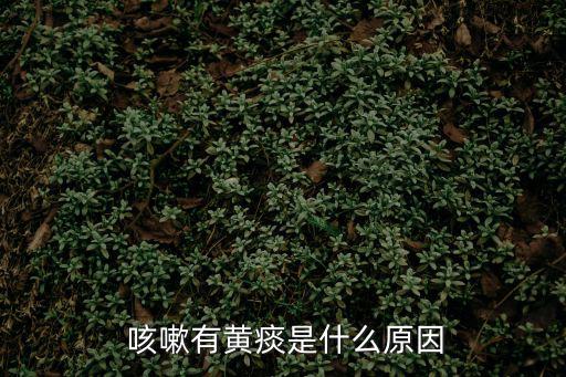 咳嗽有痰什么原因,咳嗽有黃痰中藥加點袪痰藥就消了
