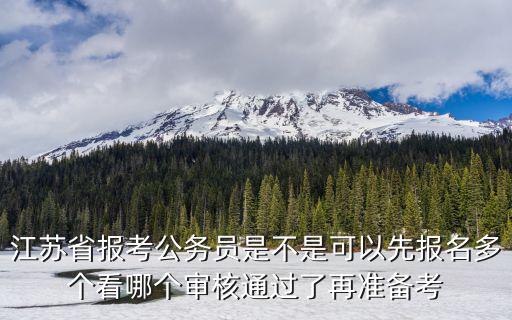 江蘇省報考公務員是不是可以先報名多個看哪個審核通過了再準備考