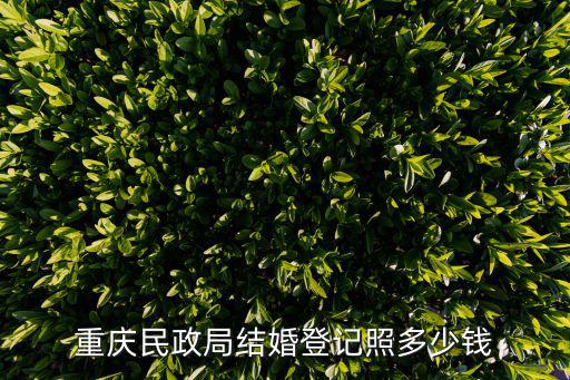 重慶民政局結婚登記照多少錢
