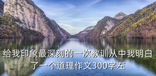 給我印象最深刻的一次教訓從中我明白了一個道理作文300字左