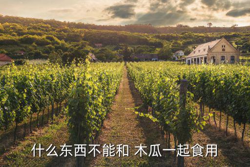 什么東西不能和 木瓜一起食用