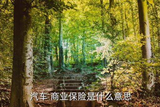  汽車(chē) 商業(yè)保險(xiǎn)是什么意思