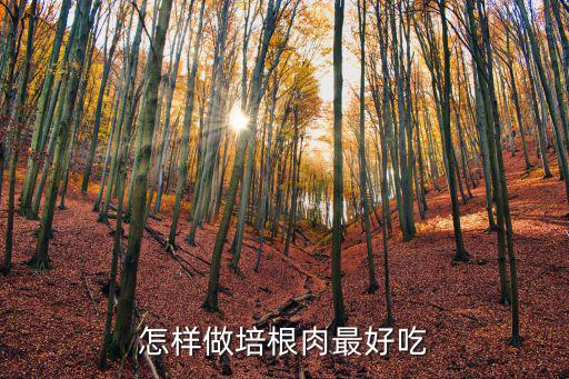 怎樣做培根肉最好吃