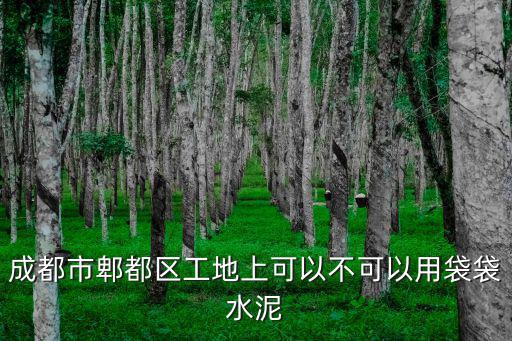 成都市郫都區工地上可以不可以用袋袋水泥