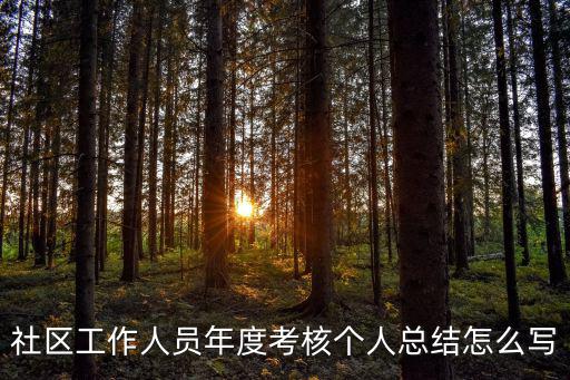 社工工作總結，社區民政工作總結