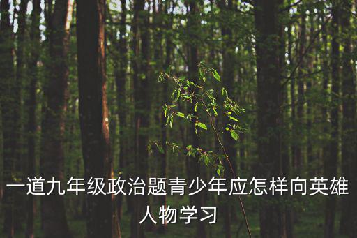 一道九年級政治題青少年應怎樣向英雄人物學習