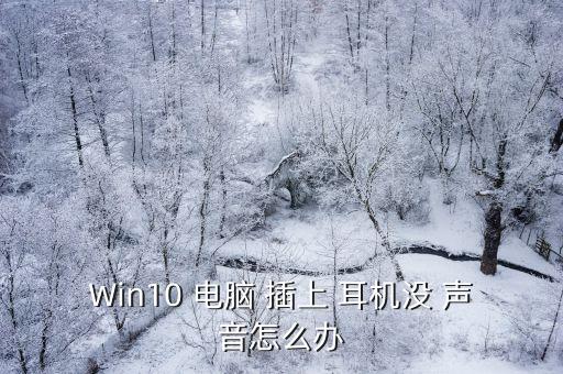 Win10 電腦 插上 耳機沒 聲音怎么辦