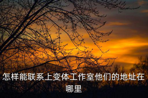 怎樣能聯系上變體工作室他們的地址在哪里