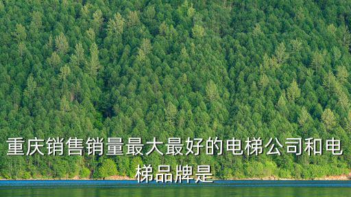 重慶市三力電梯有限公司，重慶銷售銷量最大最好的電梯公司和電梯品牌是