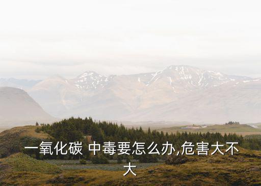 一氧化碳中毒怎么辦,高空作業(yè)時(shí)應(yīng)避免吸入二氧化碳