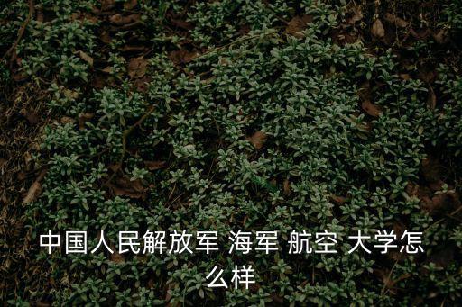 中國人民解放軍 海軍 航空 大學怎么樣