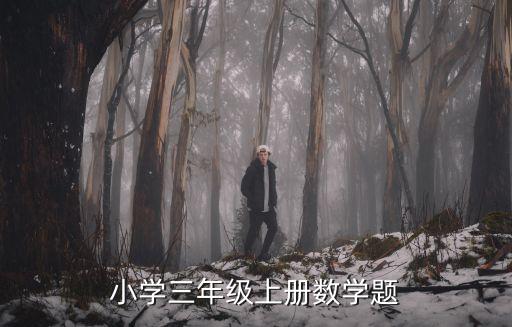 小學三年級上冊數學題