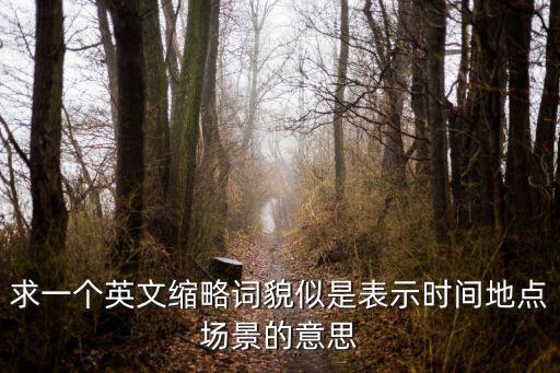 場景的英文，求一個英文縮略詞貌似是表示時間地點場景的意思