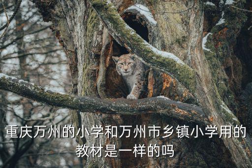 重慶萬州的小學和萬州市鄉鎮小學用的教材是一樣的嗎