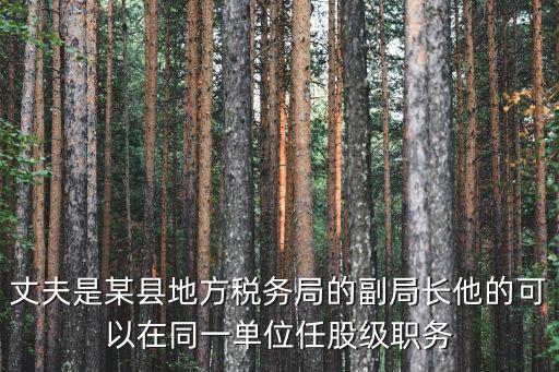 股級干部如何任命，企業干部任命的程序
