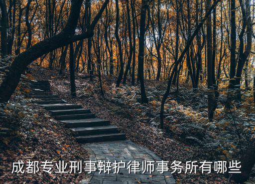 成都專(zhuān)業(yè)刑事辯護(hù)律師事務(wù)所有哪些