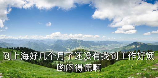 到上海好幾個(gè)月了還沒有找到工作好煩喲悶得慌啊