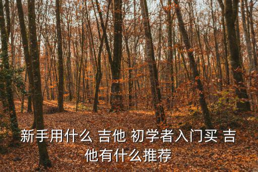 新手用什么 吉他 初學者入門買 吉他有什么推薦