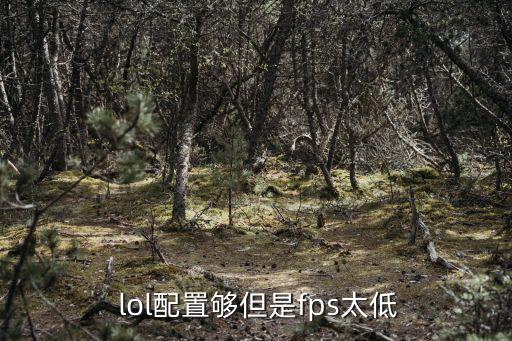 lol幀數低,游戲延遲服務怎么玩?