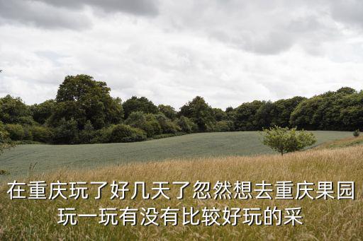 在重慶玩了好幾天了忽然想去重慶果園玩一玩有沒有比較好玩的采