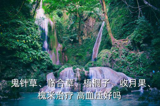 鬼針草治高血壓,本地醫療機構推出治療高血壓的藥物和食物
