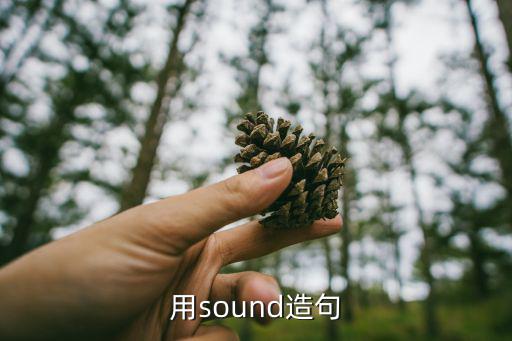 用sound造句