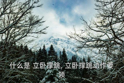 什么是 立臥撐跳, 立臥撐跳動(dòng)作要領(lǐng)