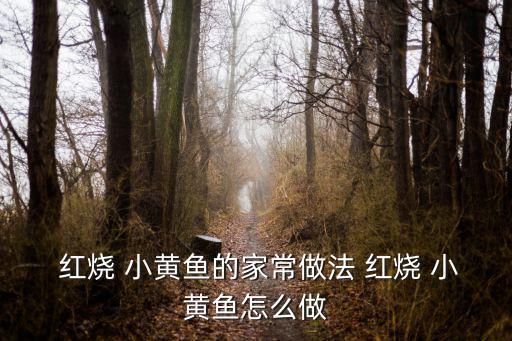  紅燒 小黃魚的家常做法 紅燒 小黃魚怎么做
