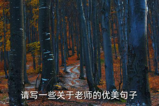 請寫一些關于老師的優(yōu)美句子