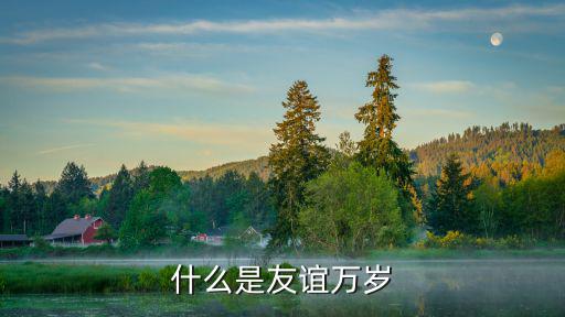 什么是友誼萬歲