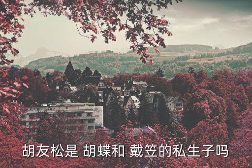 戴笠胡蝶,中國第一位電影皇后胡蝶如果有私生女肯定不會留下