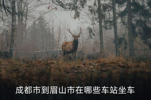 成都市至眉山市公交，成都到眉山在哪里坐車