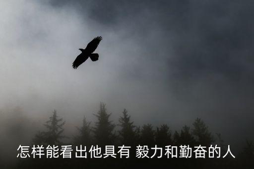 有毅力的人,堅持一年多不吃晚飯只吃水果表哥執著不懈