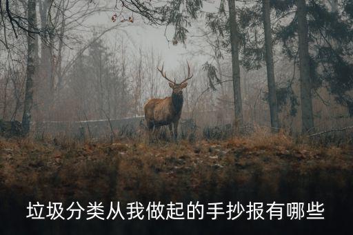 垃圾分類從我做起的手抄報有哪些