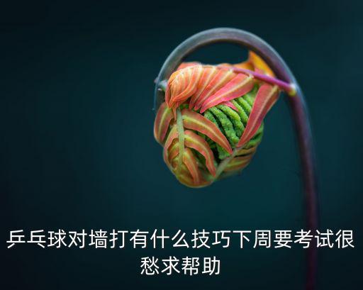 乒乓球對墻打有什么技巧下周要考試很愁求幫助